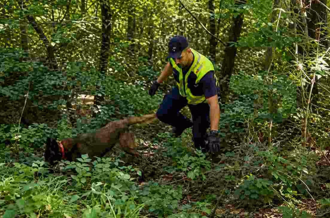 Tragédie dans une réserve naturelle : un jeune homme retrouvé mort, sa moto coincée dans les arbres